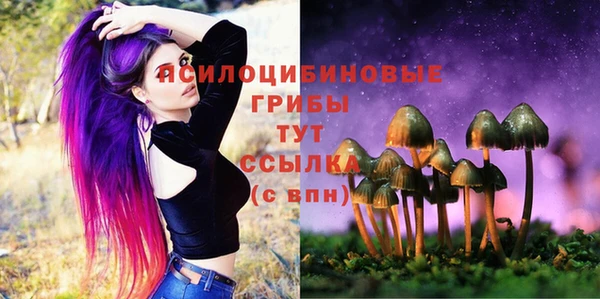 ALPHA-PVP Козловка
