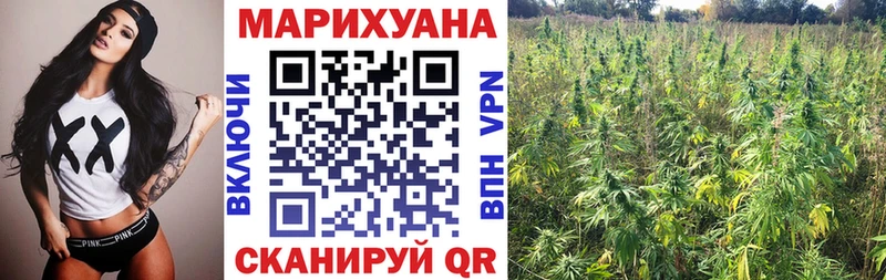 Бошки Шишки AK-47 Кимры